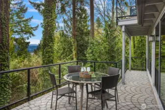 Private outdoor deck immersed in lush Northwest greenery, perfect for relaxed outdoor living and views of Lake Washington