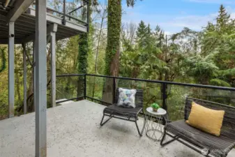 Peaceful lower-level deck tucked among mature evergreens, creating a private outdoor retreat ideal for relaxing, entertaining, or enjoying evenings around the fire pit