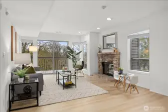 Family Room Downstairs