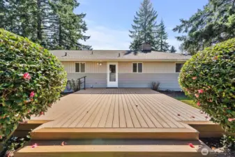 I mean, look at that!