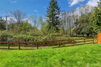 Backyard with peaceful views of the protected wetlands