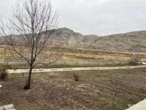 view from porch
