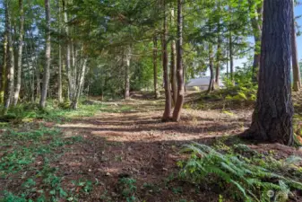 Explore the wooded trails behind the home with pathways and a seasonal man made stream.