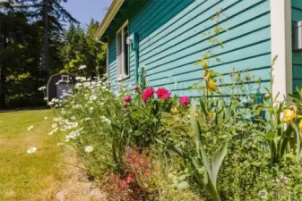 Peonies, iris, daisies, foxglove and more in this whimsical garden
