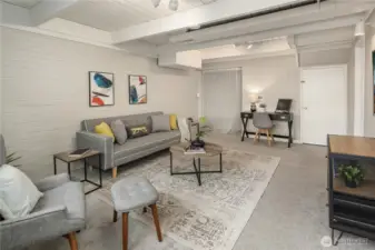 Lower level bonus/family room