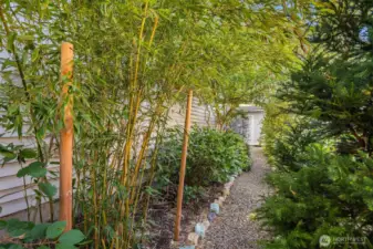 Side path to backyard