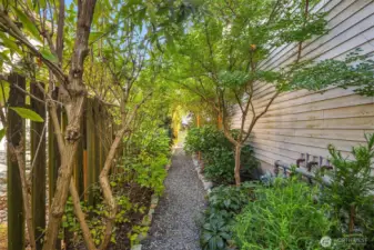 Side path to backyard