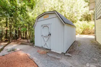 Additional view of the backyard shed surrounded by open green space