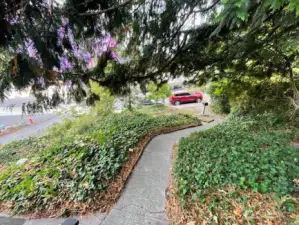 View to street from front porch