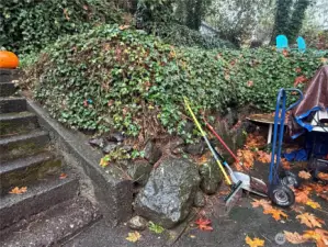 Beneath the ivy is a substantial rock wall for amazing curb appeal.