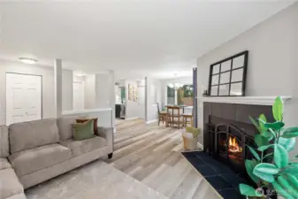 Electric Fireplace Insert
