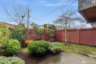 spacious fully-fenced back yard