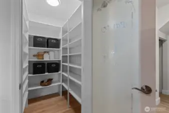Spacious Pantry