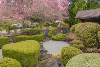 Native plants for easy maintenance.