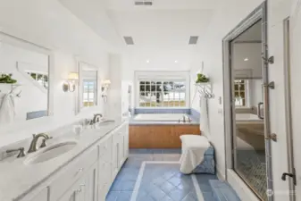 Full Steam shower and views from the tub!