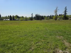 Front field