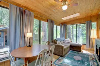 Tongue and groove ceilings