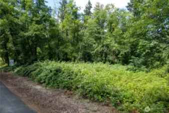 The blackberry bushes can easily be scrapped away for access to the middle of the property