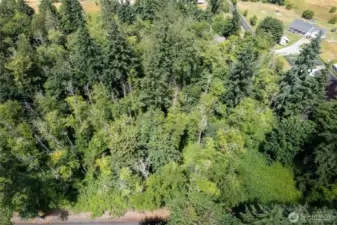 No wetlands on this property but buyer to verify this information
