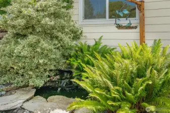Koi pond