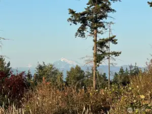 Mt. Baker...