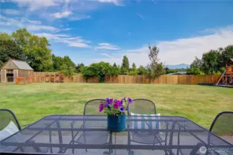 Spacious backyard with fruit trees, Play area, greenhouse, garden, newer out building, shed & more.