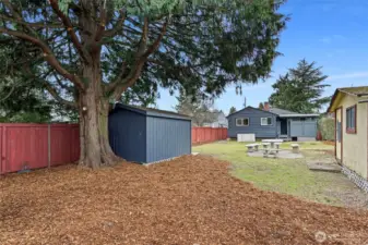 Large back yard with two sheds.