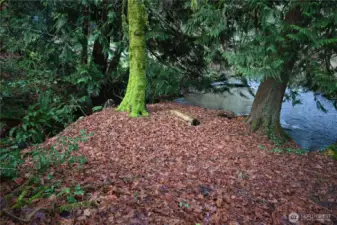 Spot to enjoy the creeks