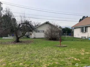 Shared Yard and back of ADU