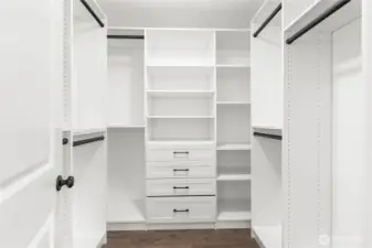 Beautiful walk in closet in primary with built-ins
