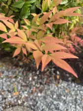 Another photo from Spring