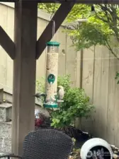 Great bird watching!