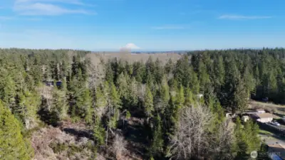 Looking Easterly toward Hwy I-5 (See Mt Rainier in background...)