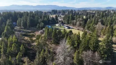 Looking westerly--- Most of the east portion of the property has good tall trees....