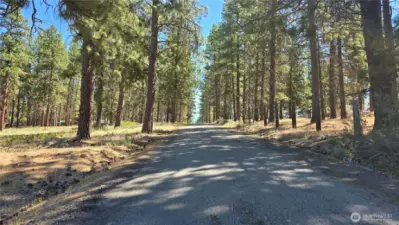 Paved road heading up to the property on the left.