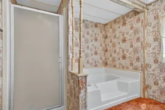 Primary soaking tub and shower.