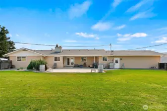 large, fence back yard