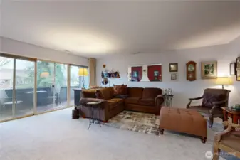 Living Room with slider to patio and new carpeting in condo.