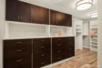 Primary custom dressers