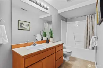 Guest bath downstairs