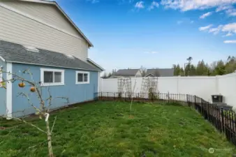 The private side yard looking at the new office.