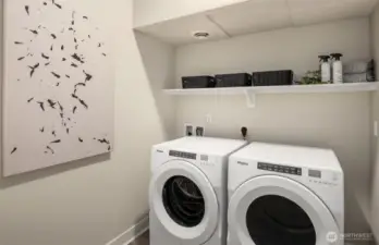 Model Home