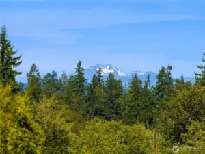 Lovely Mountain Views from the Backyard