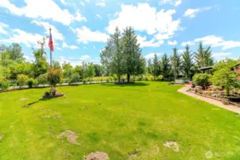 Large Front Yard