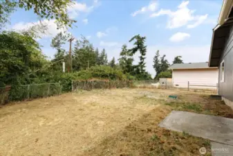 backyard with a septic clean bill of health!