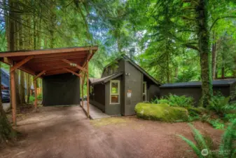 WOODLAND RETREAT! Blending seamlessly into its wooded surrounding, this forest cabin features a sheltered carport & circular drive.