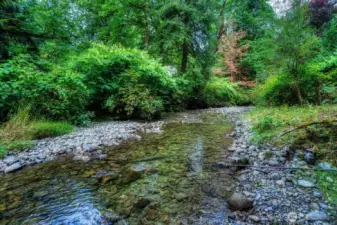 Beautiful creek frontage ~ salmon will be spawning soon!