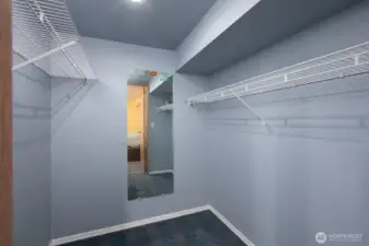 downstairs bedroom walk-in closet