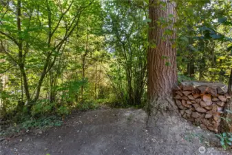 Your own, private trail to access the lake and park.