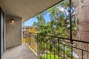 Here's a view from the corner of the deck.